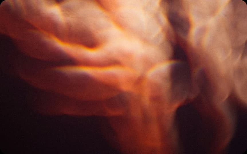 See your body as a system worth investing in