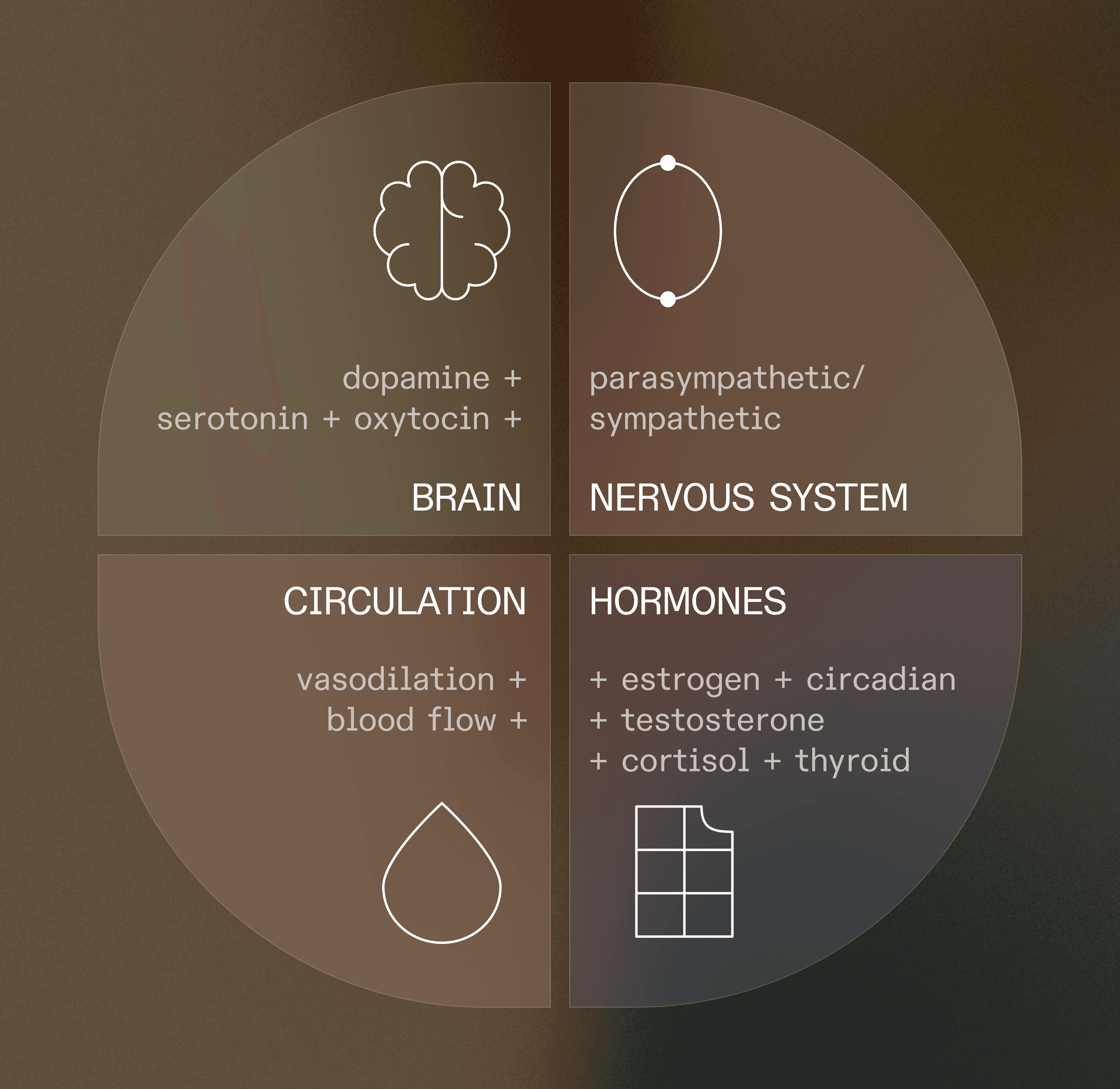 EN - Asset 1_ LIBIDO.png