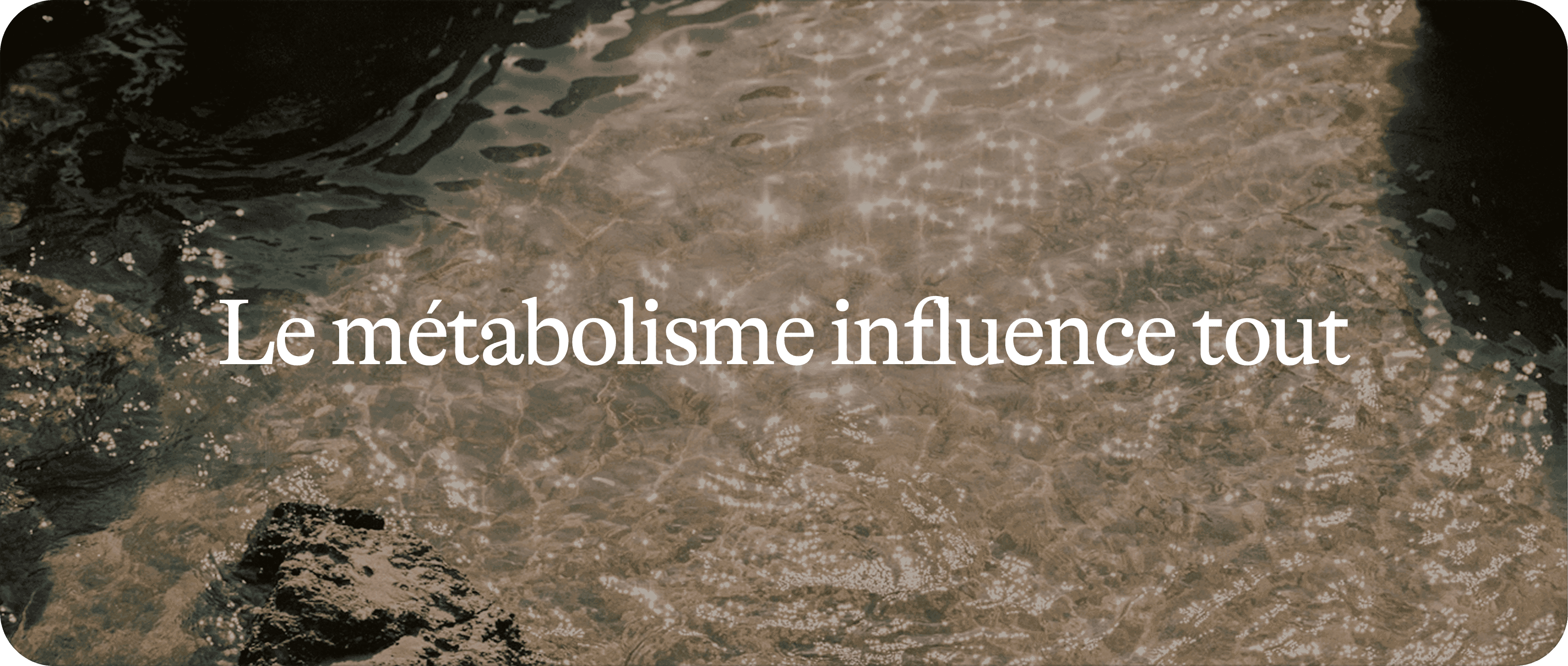 Santé métabolique 1/2 : le sujet qui influence bien plus que le poids