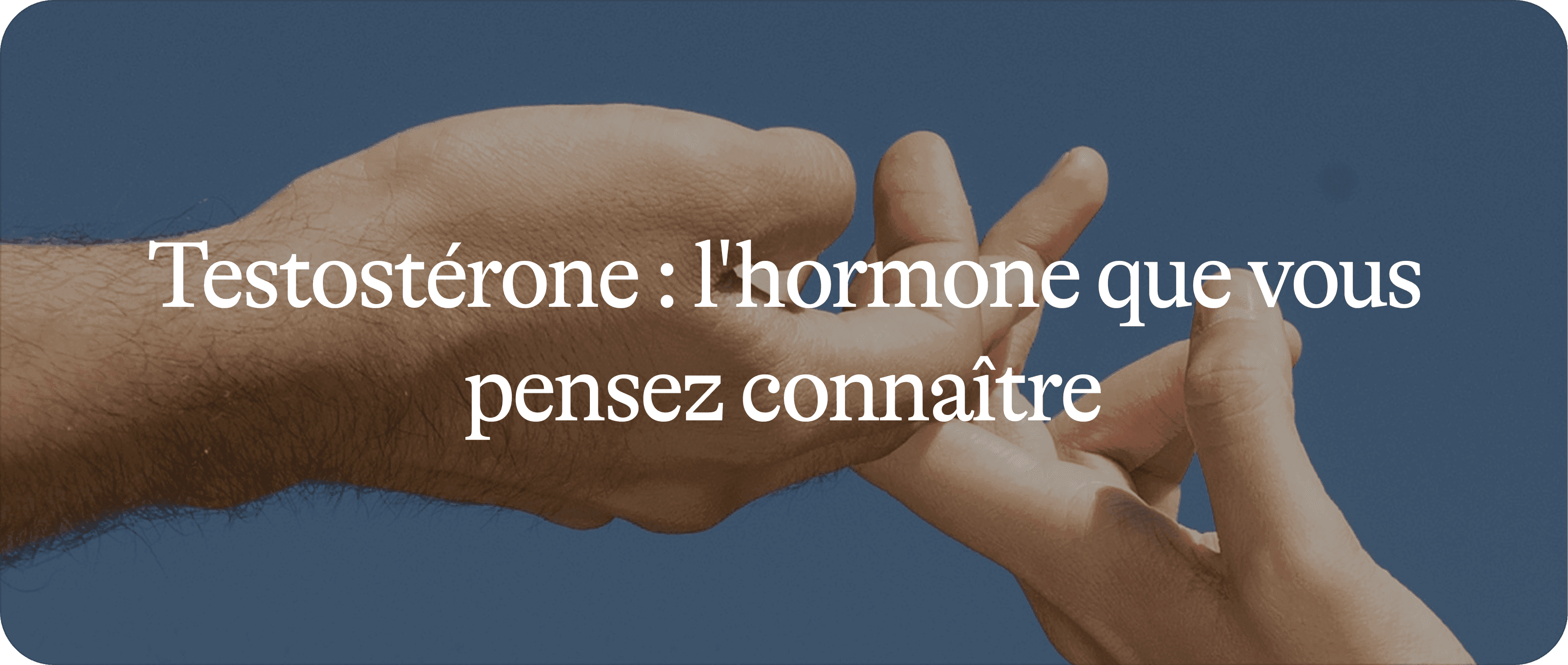 La testostérone 1/2 : l'hormone que vous croyez connaître