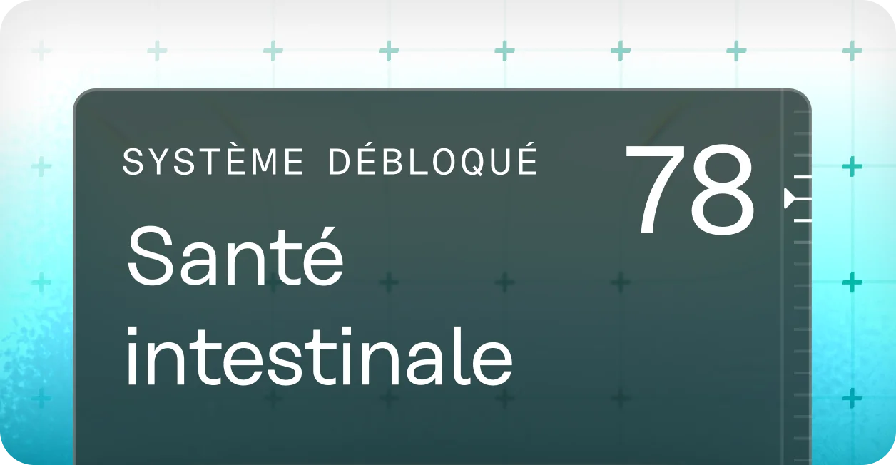 Découvrez ce qui se passe vraiment dans votre intestin.