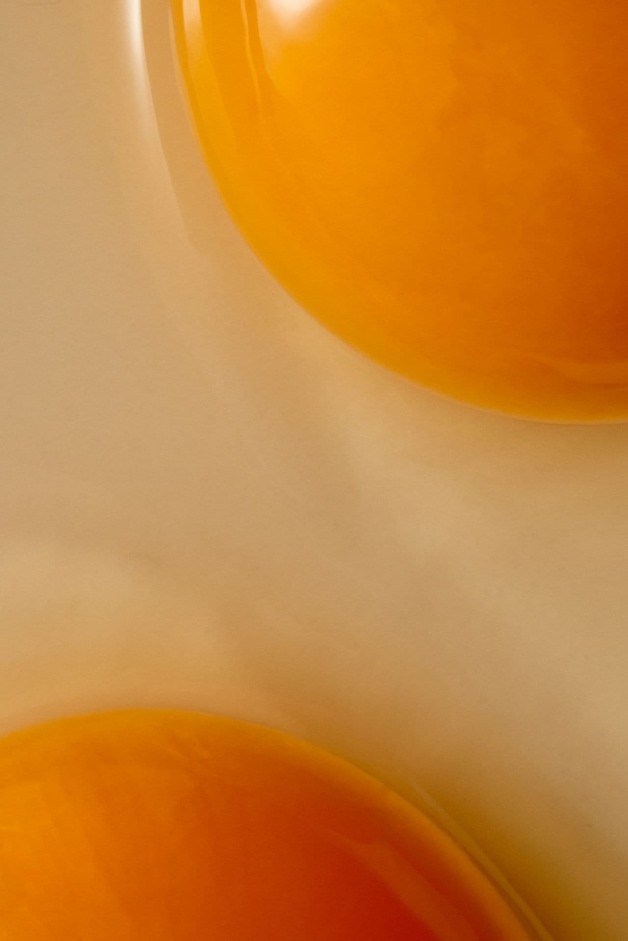 La longévité se joue au niveau cellulaire.