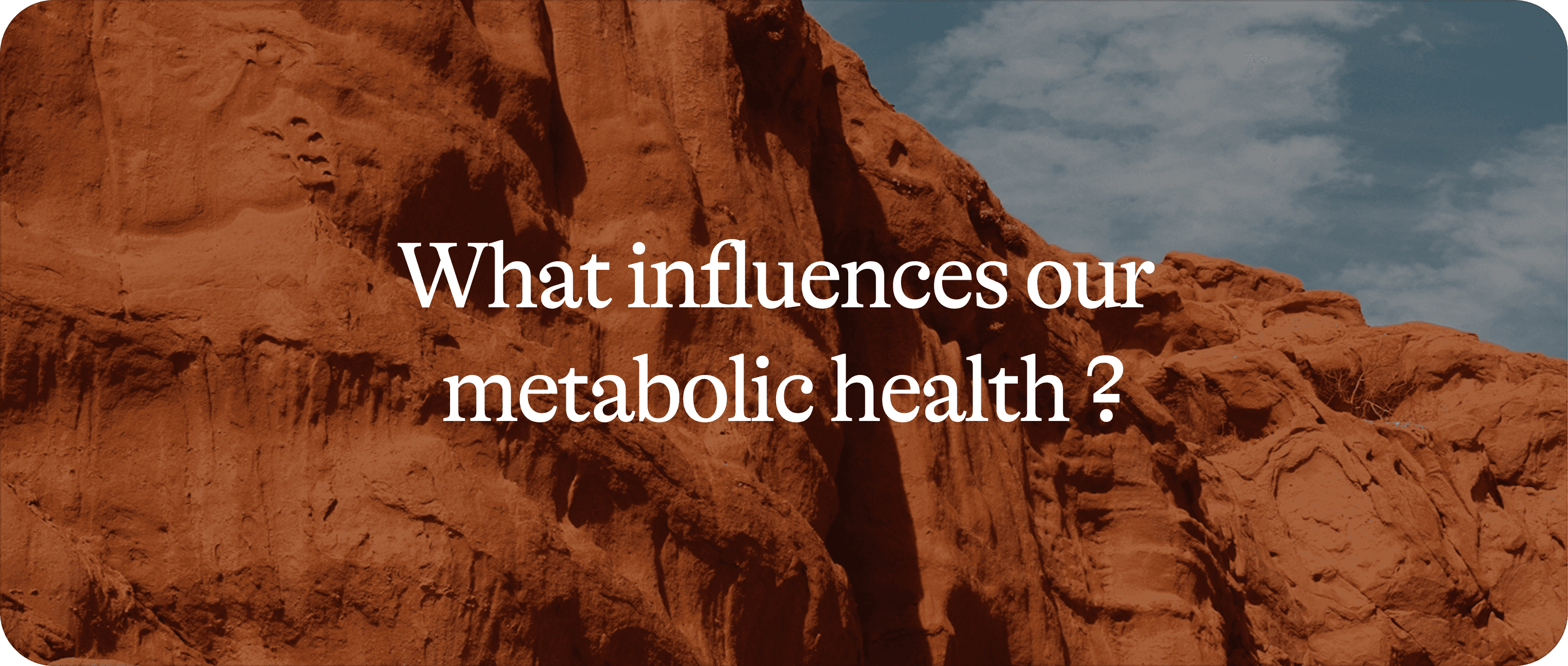 Metabolic Health 2/2: The Factors That Weaken Your Metabolism
