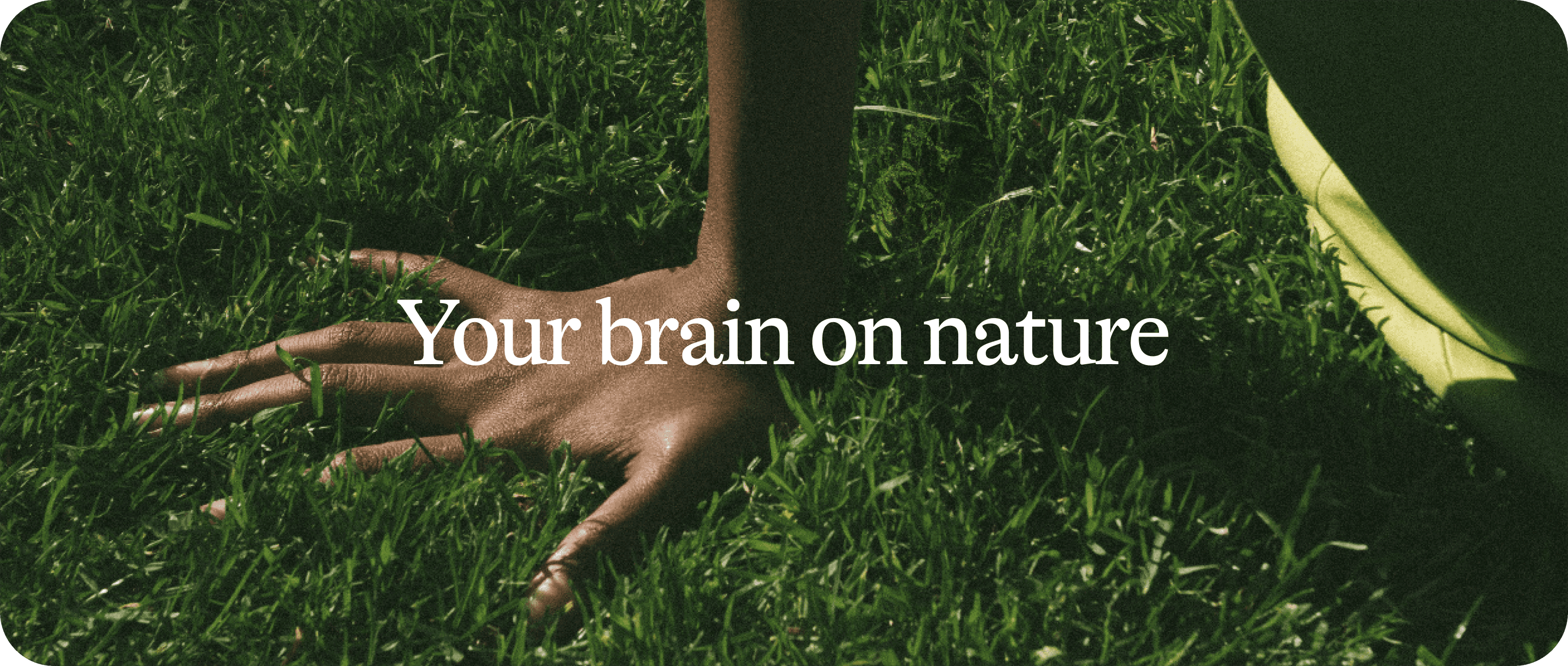 Your brain on nature