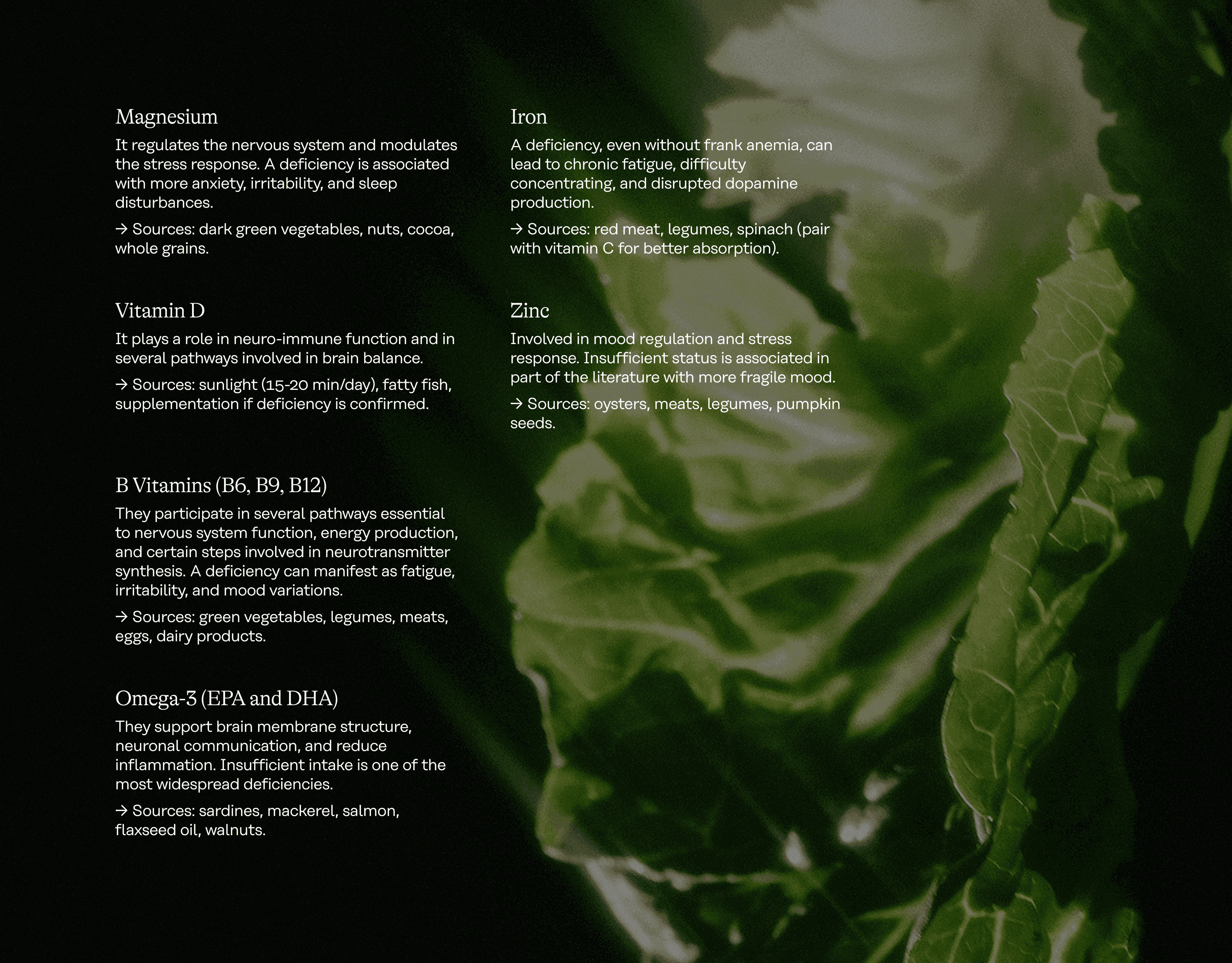 EN_Newsleter_MentalHealth_#2.png