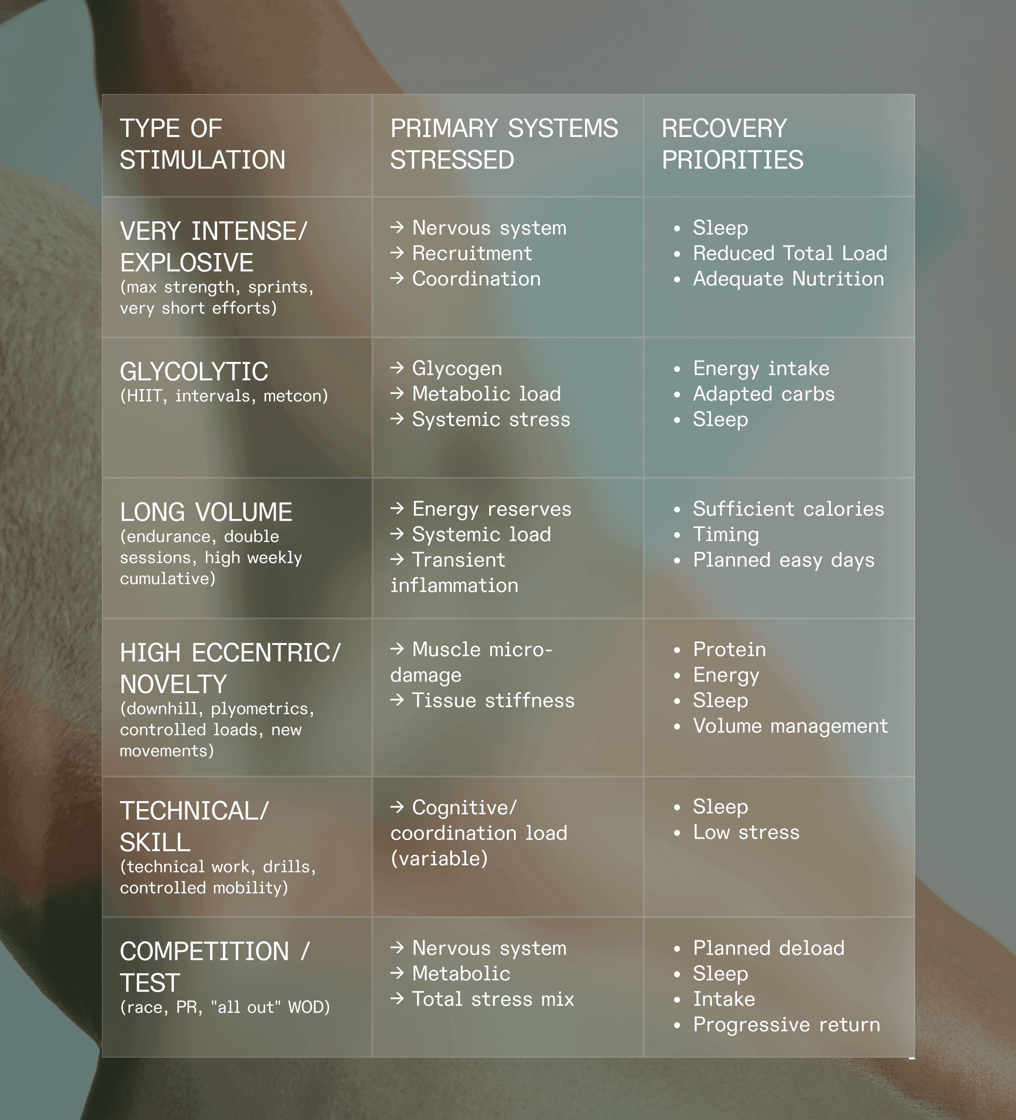 EN_Newsletter #1 Récupération02.png