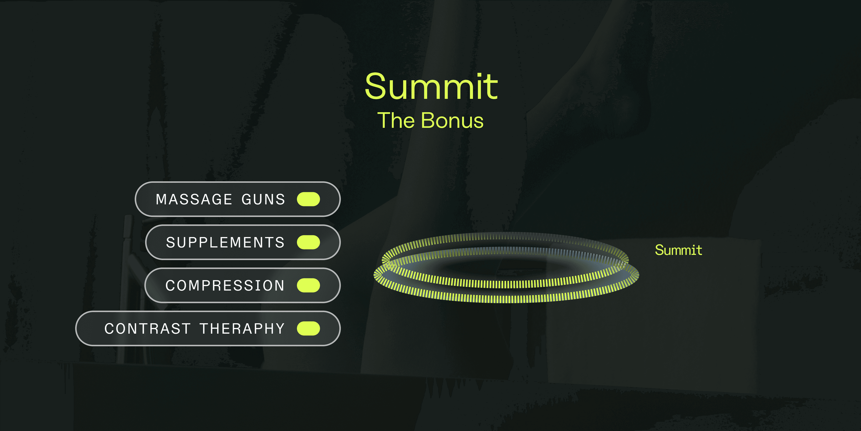 EN_Newsletter #2 Récupération03.png