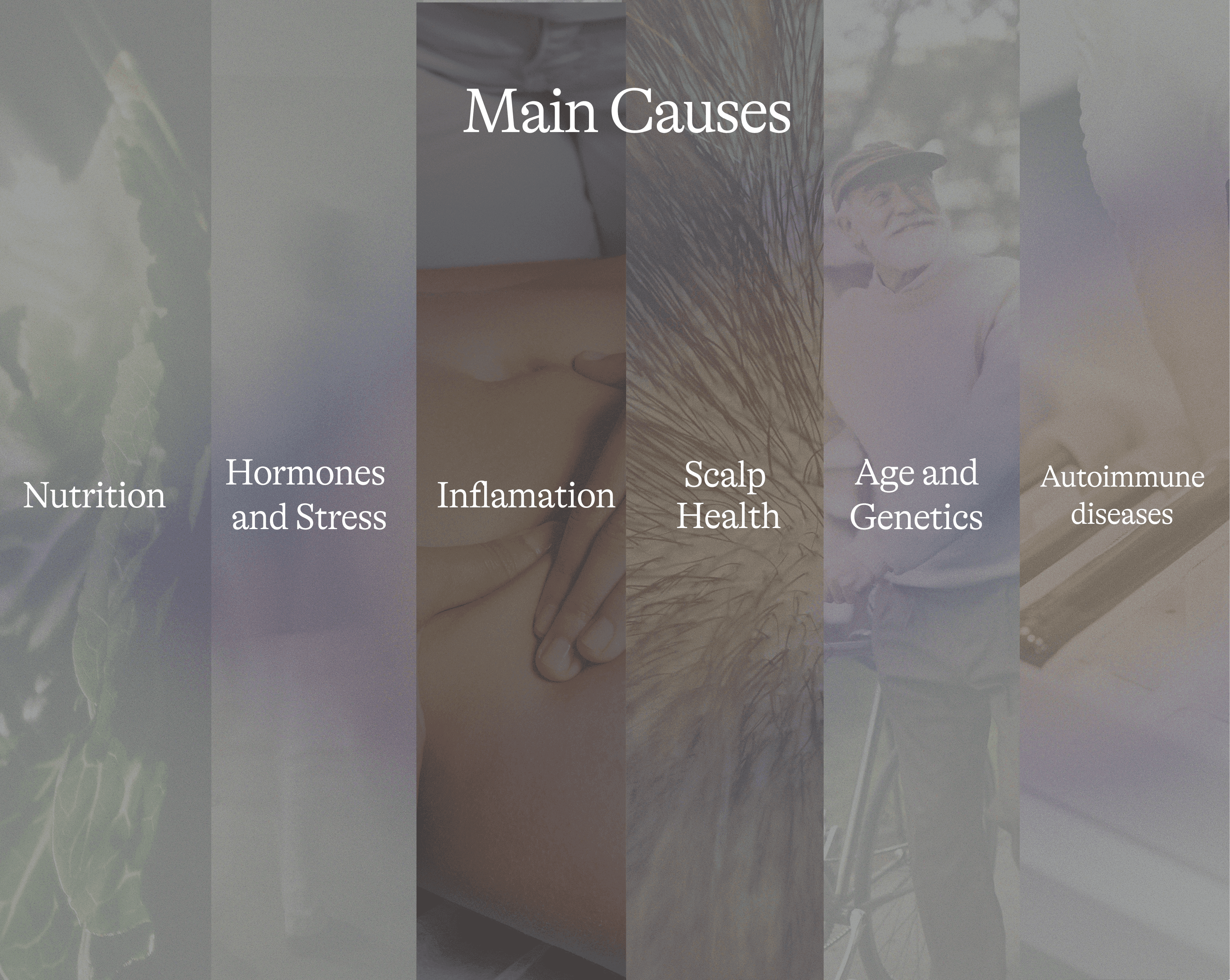 Main causes of hair loss