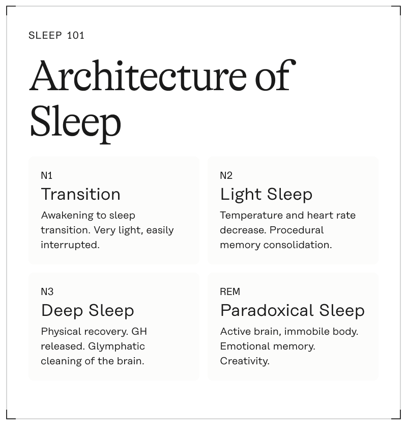 EN_Sleep101_asset-01.png