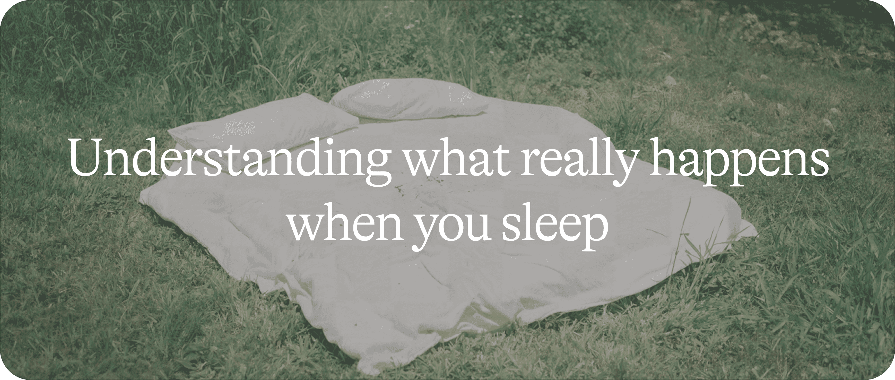 Sleep 101 1/2: what really happens when you sleep
