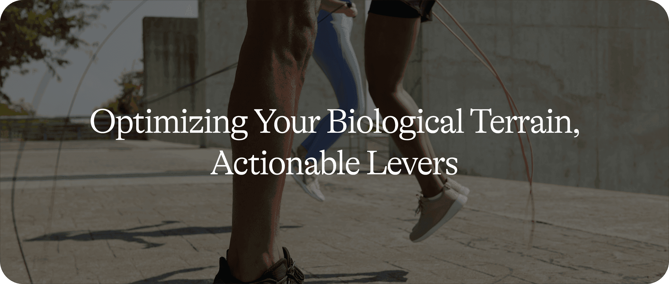 Athletic Performance: What Defines (or Limits) Your Results