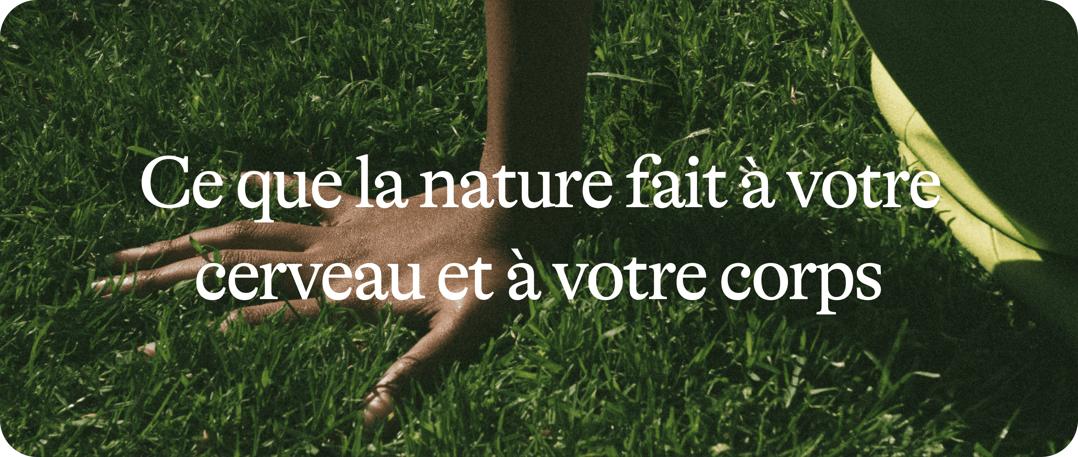 Ce que la nature fait à votre cerveau et à votre corps