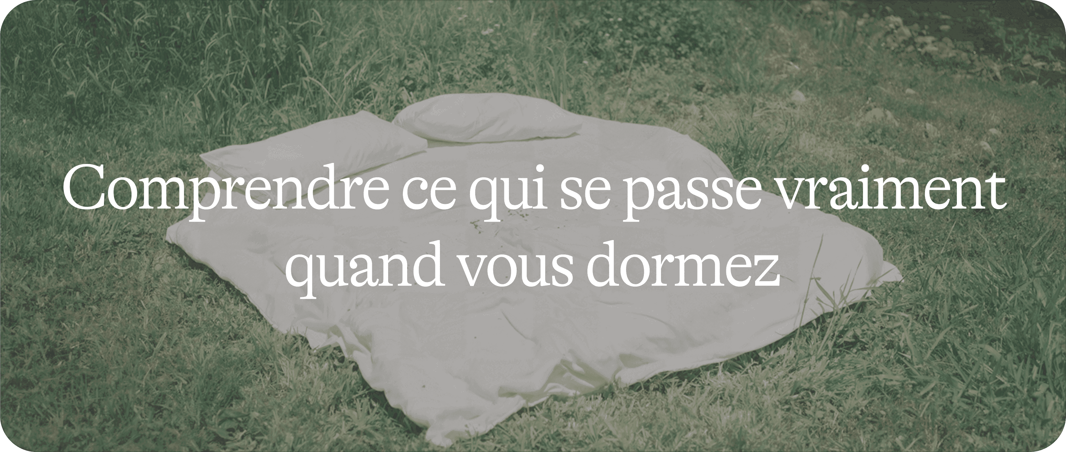 Sommeil 101 1/2 : ce qui se passe vraiment quand vous dormez
